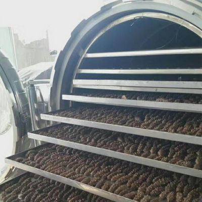 تجميد فراغ الفولاذ المقاوم للصدأ الصناعية آلة الفاكهة المجففة